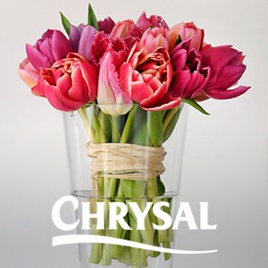 Chrysal International