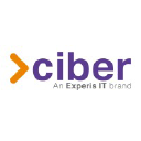 Ciber Experis