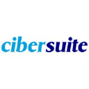 Cibersuite Networks