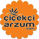 ieki Arzum