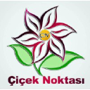 çiçek Noktası