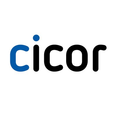 Cicor Group