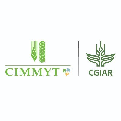 CIMMYT profile photo