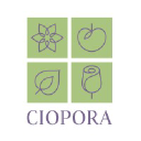 CIOPORA's