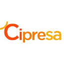 Cipresa