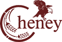 Cheney Government