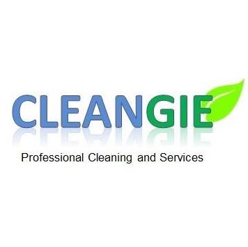 Cleangie, LLC