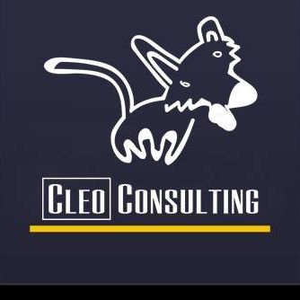 Cleo Consulting