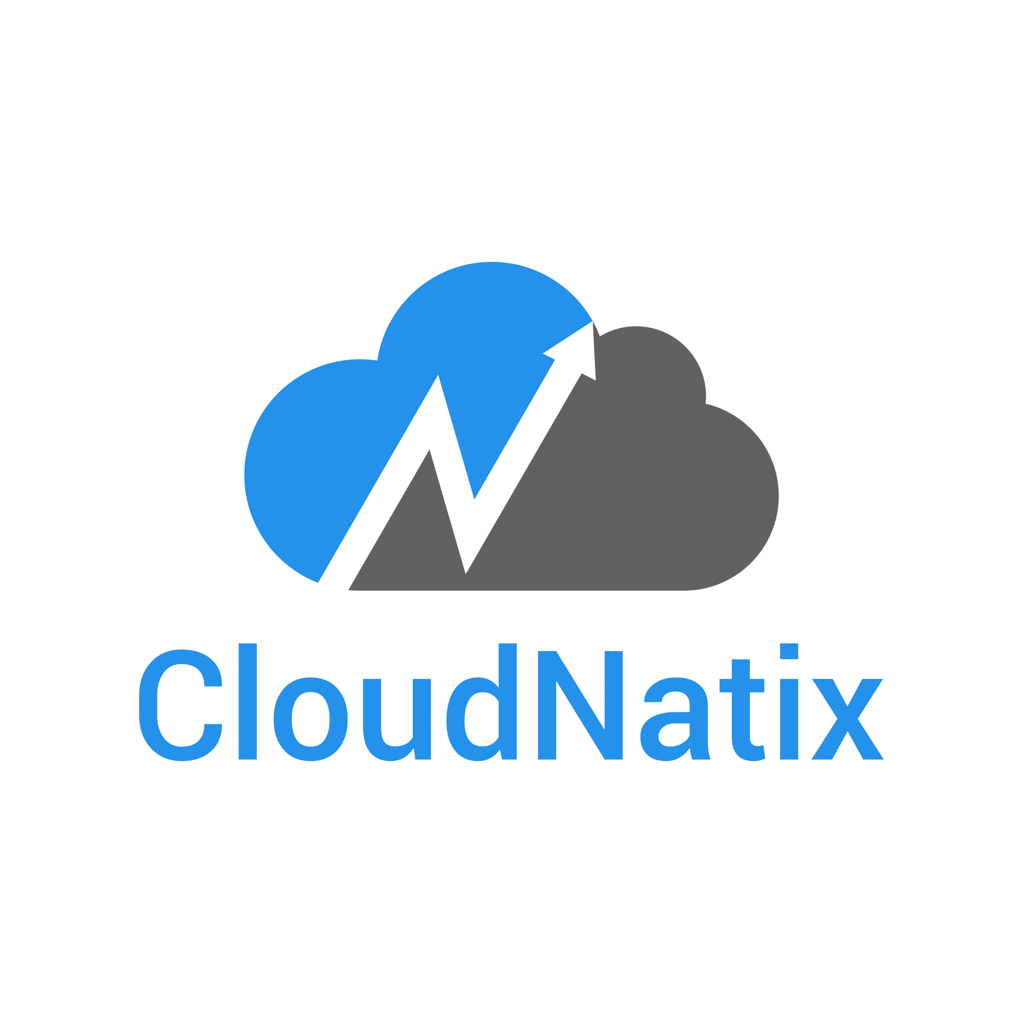 Cloudnatix Inc.