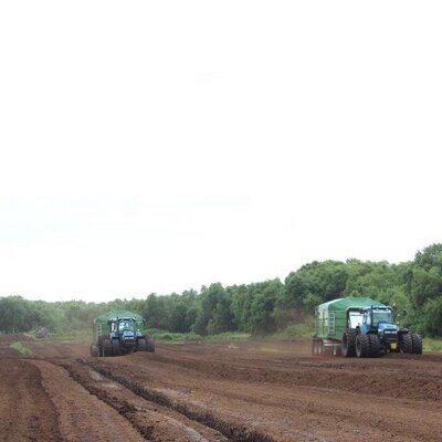 Clover Peat