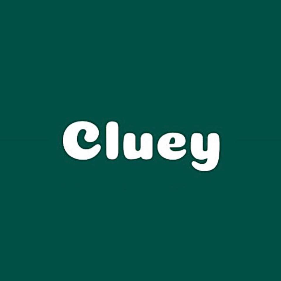 Cluey Consumer