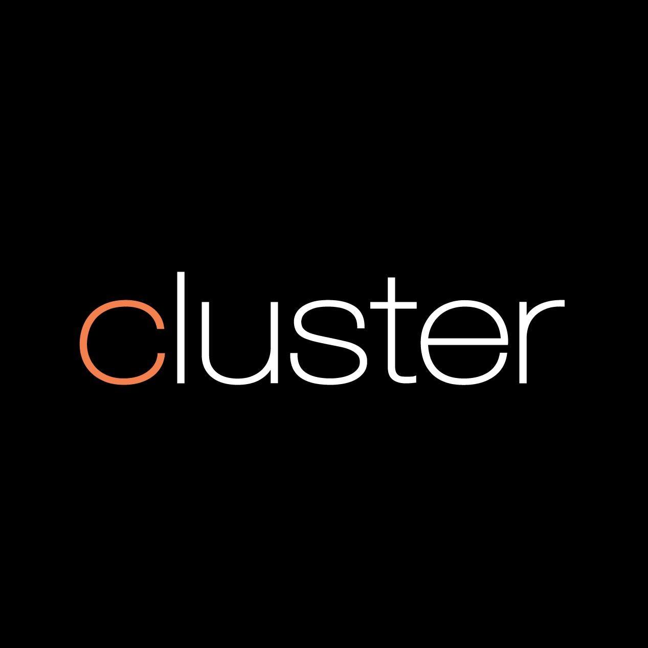 Cluster Systems Cluster Systems