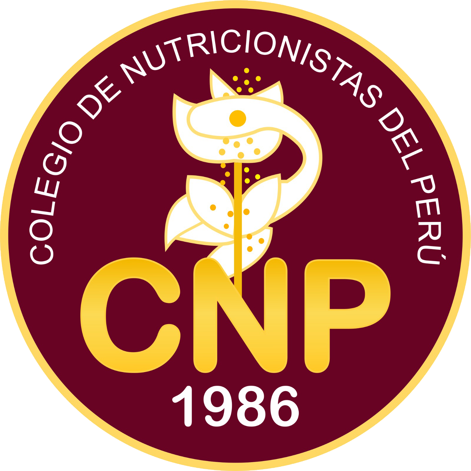 Colegio De Nutricionistas Del Perú