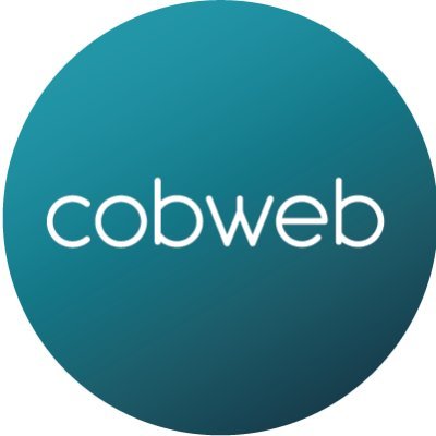 Cobweb Solutions