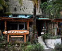 Coconut Harry's Surf Shop