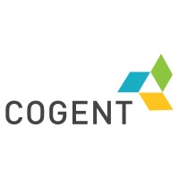 Cogent E Services Private