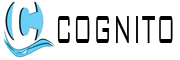 COGNITO SOFTECH PVT