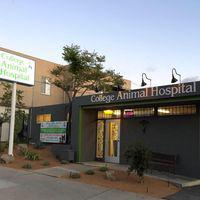 College Animal Hospital