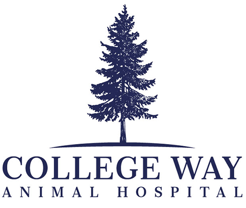 College Way Animal Hospital