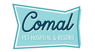 Comal Pet Hospital