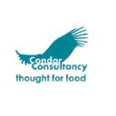 Condor Consultancy