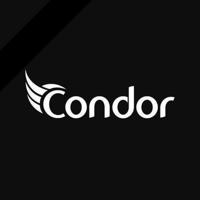 Condor Electronics