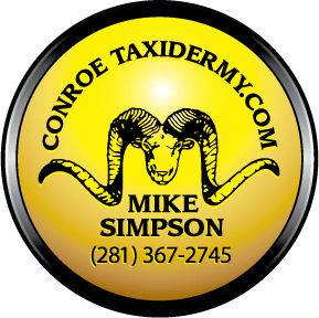 Conroe Taxidermy