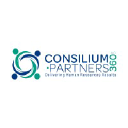 Consilium Partners360