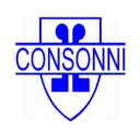 Consonni S.A. Group