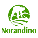 Cooperativa Norandino