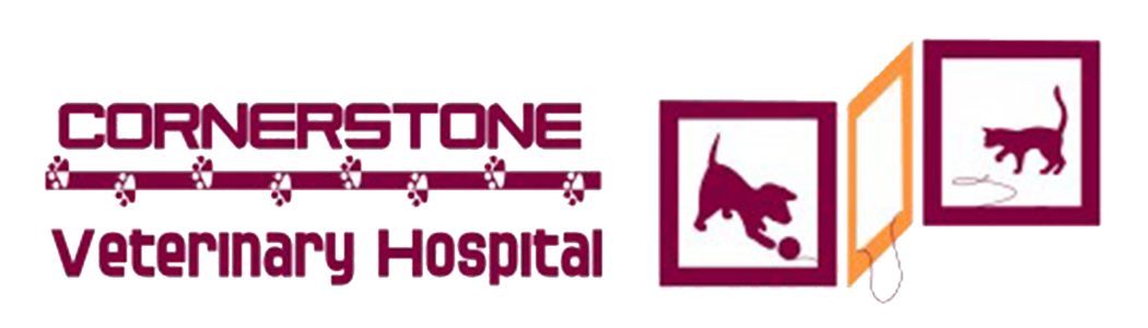 Cornerstone Veterinary Hospital