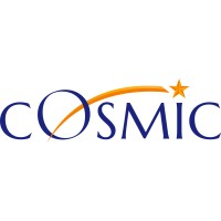 Cosmic Consultancy Services Private