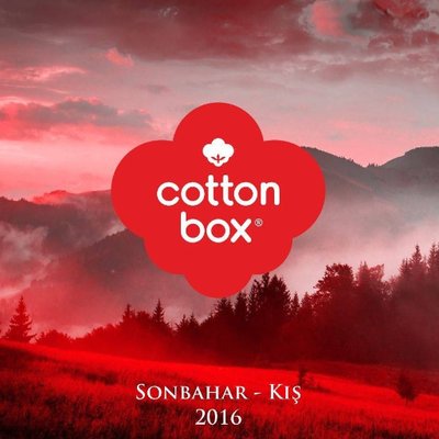 Cotton Box