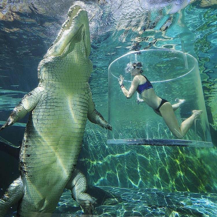 Crocosaurus Cove