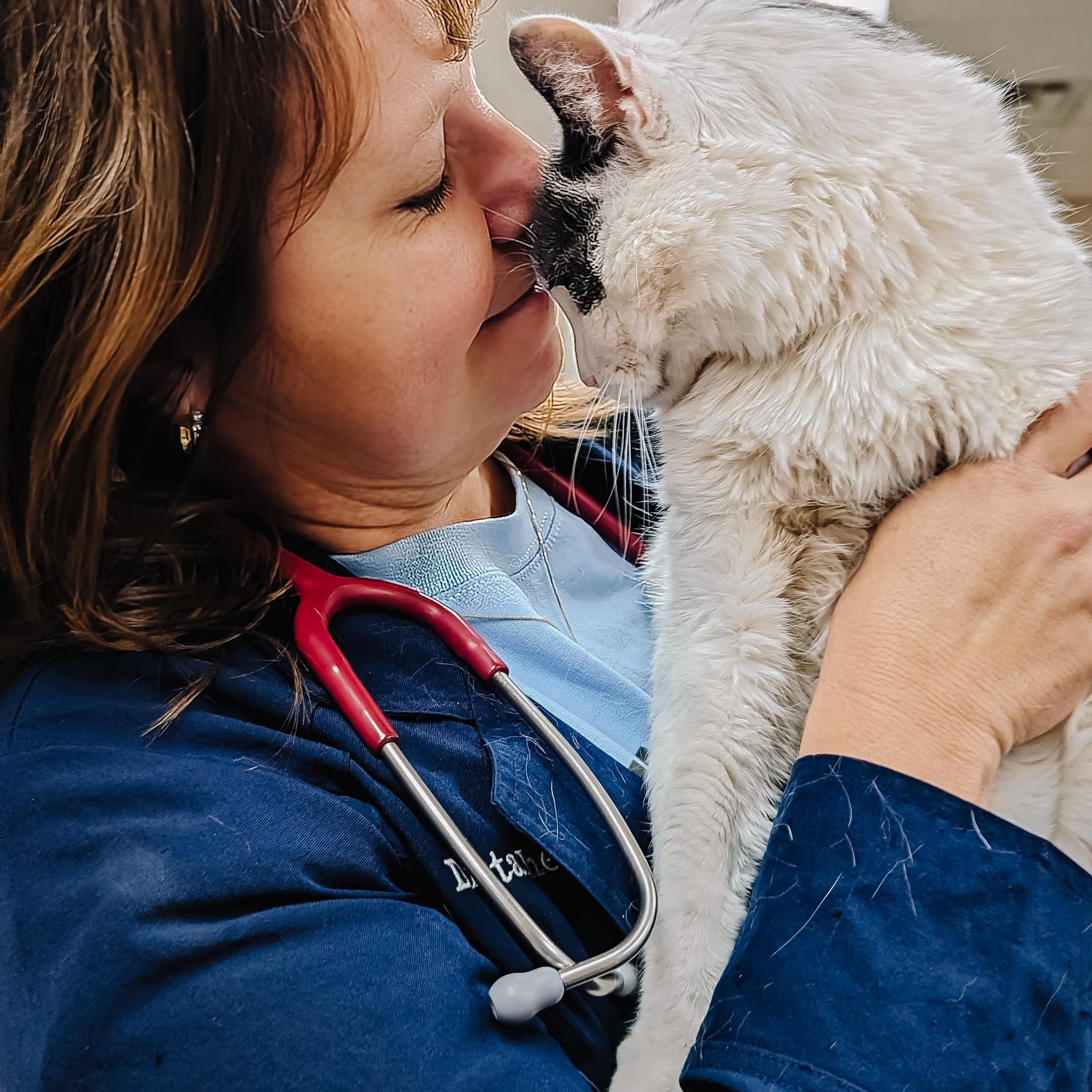 Cross Lanes Veterinary Hospital