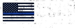 CS Investigative Services