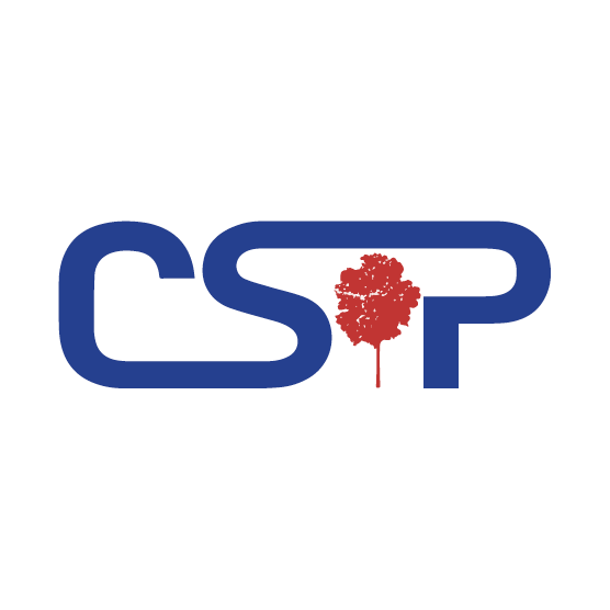 CSP Expertise