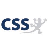 CSS