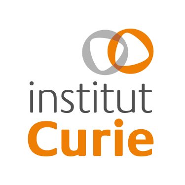 Institut Curie   Hopital René Huguenin