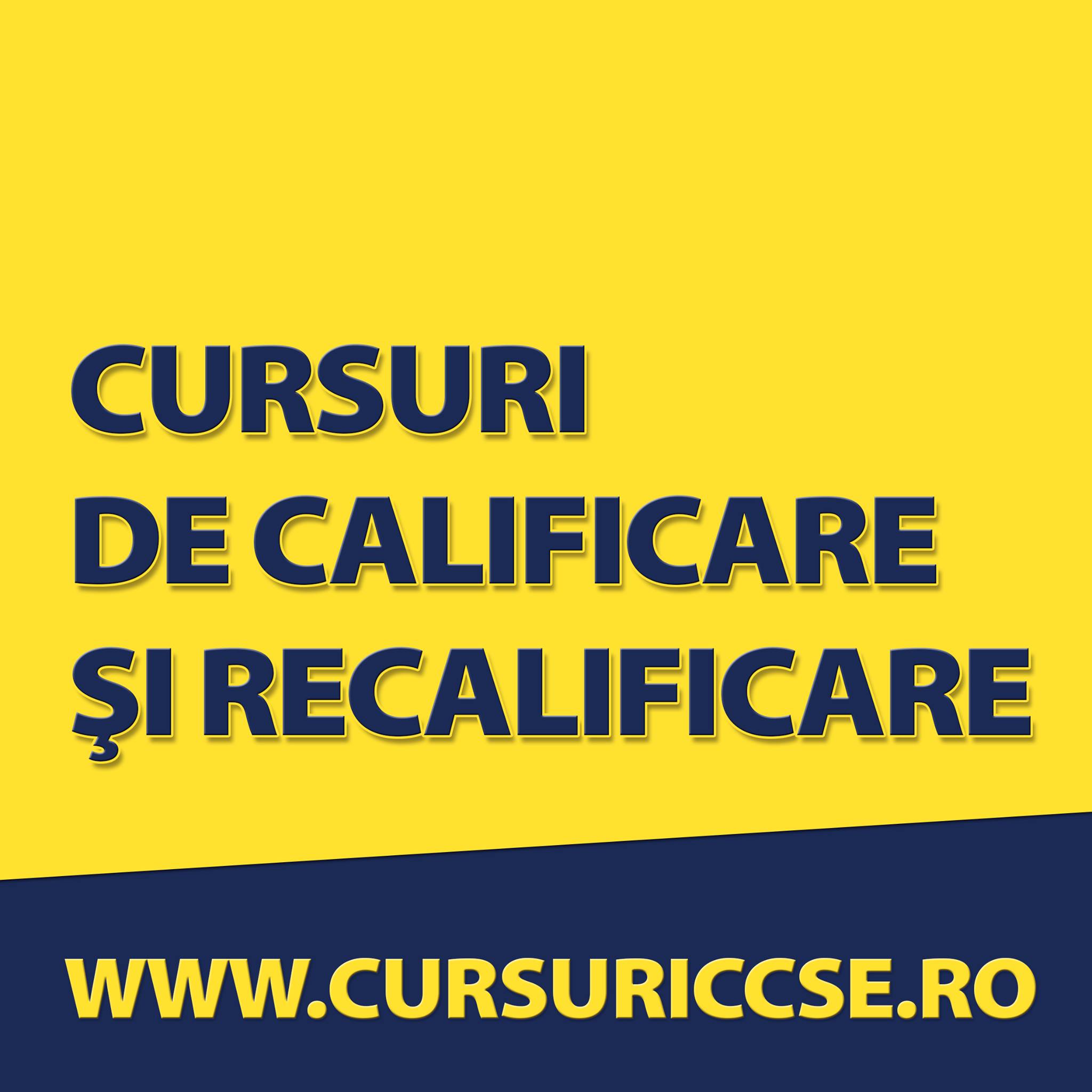 Centrul De Consultanta Si Studii Europene