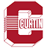 CURTIN TRUCKING & DRAINAGE, INC CURTIN TRUCKING & DRAINAGE, INC