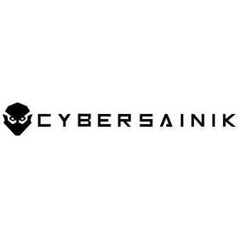 Cyber Sainik