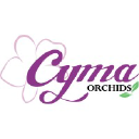 Cyma Orchids