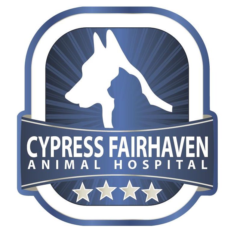 Cypress Fairhaven Animal Hospital