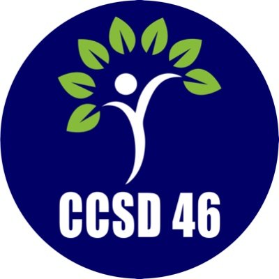 Community Consolidated School District 46