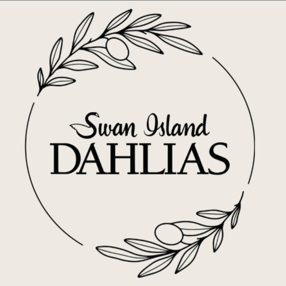 Dahlia Supplies