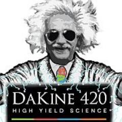 Dakine 420