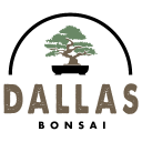 Dallas Bonsai Garden