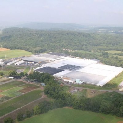 Dan Schantz Farm & Greenhouses