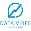 Data Vibes